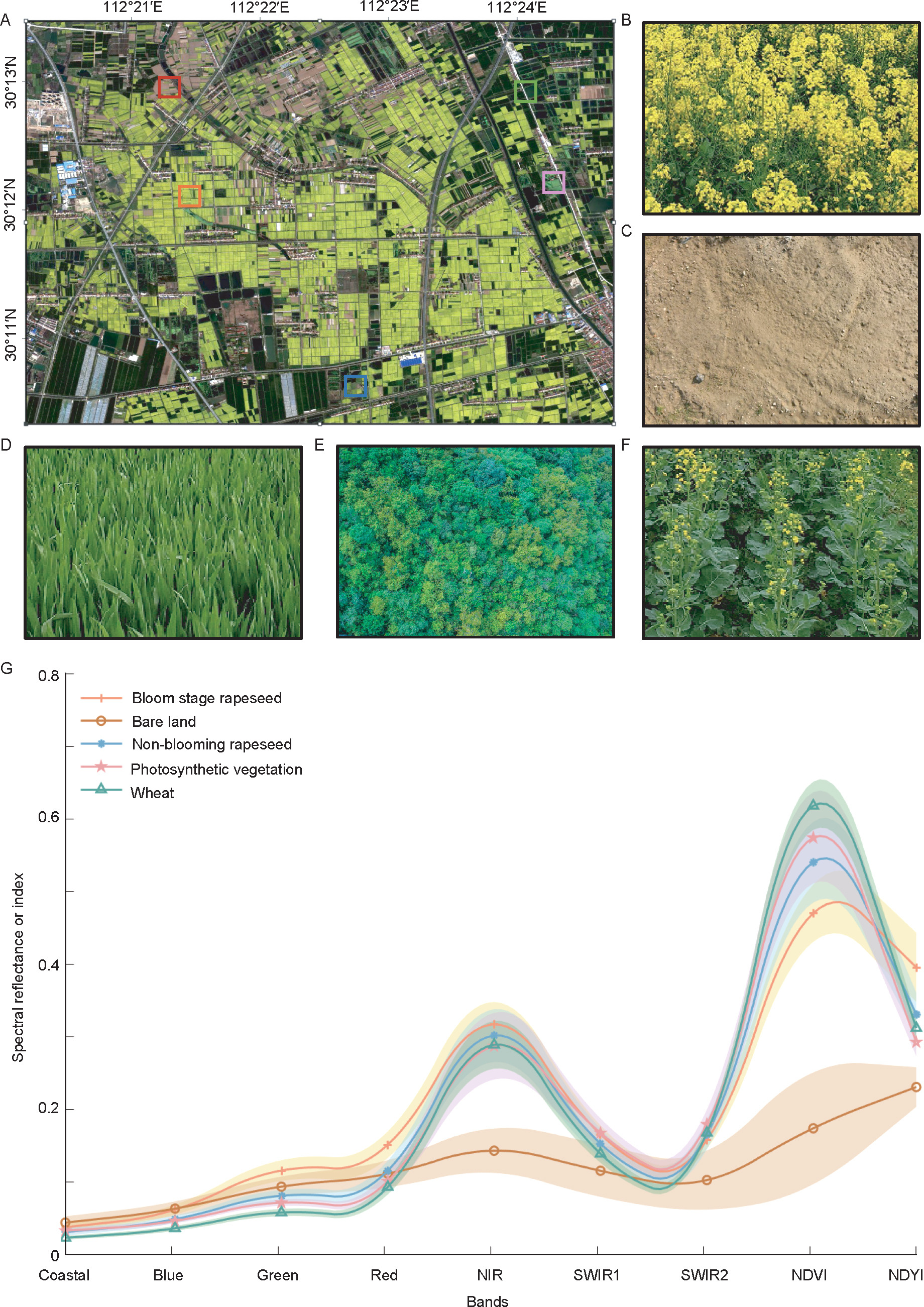 FI-R model, a novel remote sensing method for fine-scale extraction of ...
