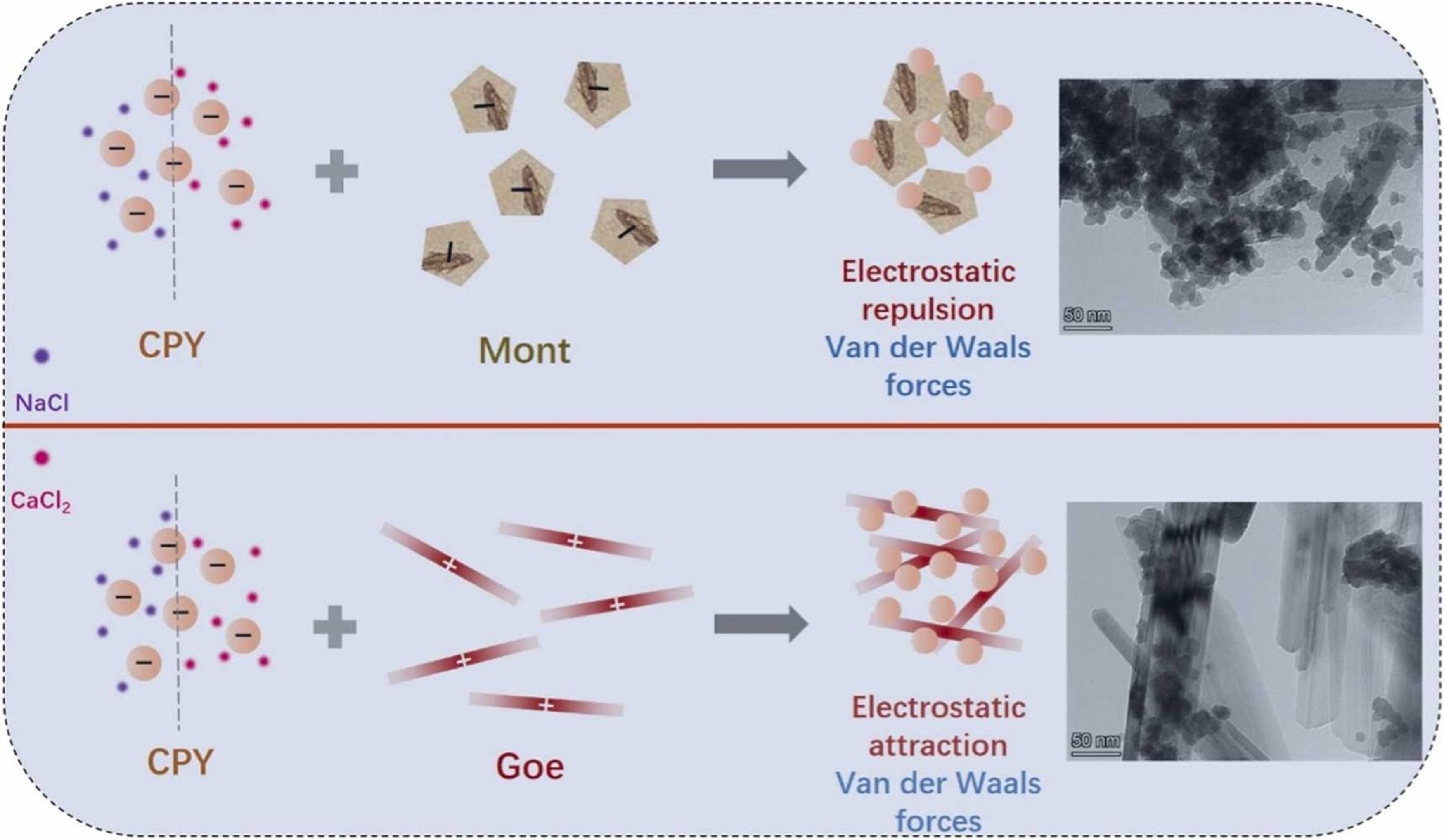 Surface charge-mediated heteroaggregation of chloropyromorphite with ...
