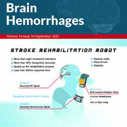 Brain Hemorrhages Brain Hemorrhages