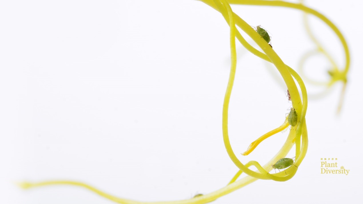 Wallpaper 1 for computer screens 2022_01_2560 X 1440