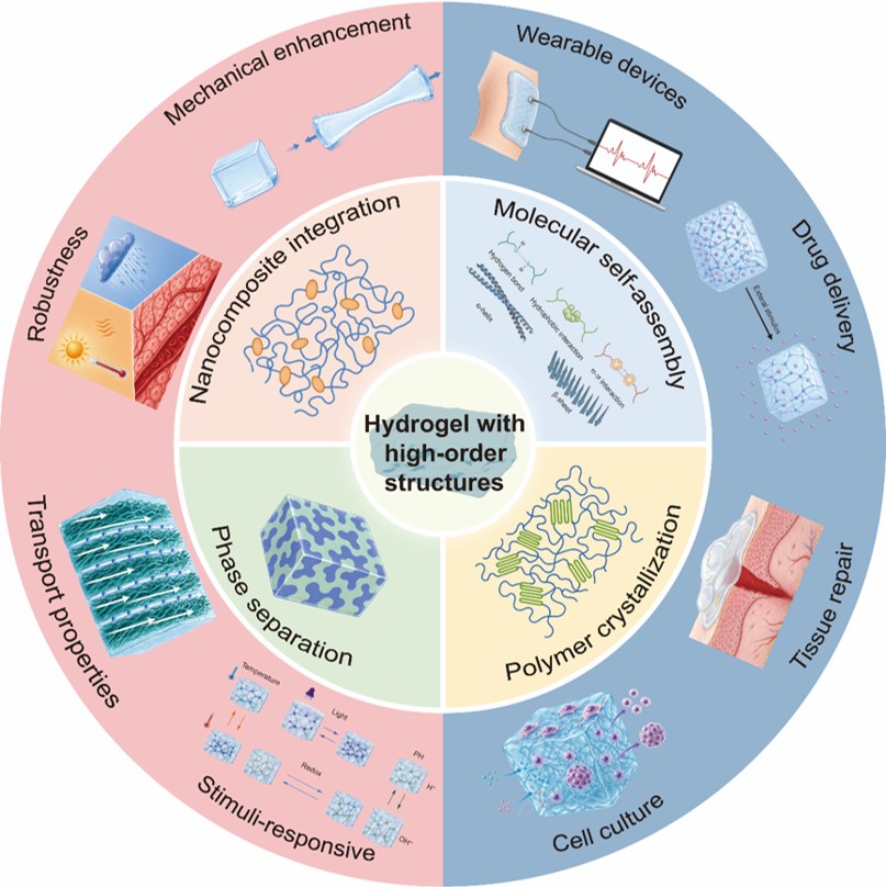 Build better biomedical hydrogels from molecular building blocks to ...