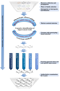 A basic route diagram of the researchers’ proposed genetic improvement and seed industry development in farmed fishes and other aquaculture animals.