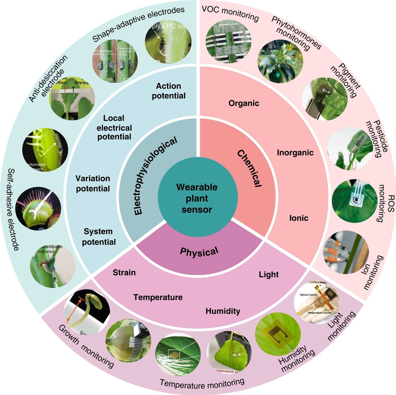 Wearable plant sensors devices for precision agriculture and ...