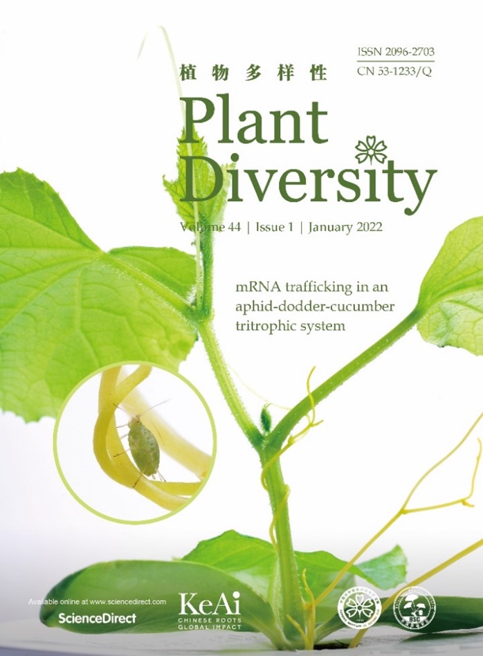 mRNA trafficking in an aphid-dodder (Cuscuta australis)-cucumber tritrophic system photographed and designed by Yang Niu