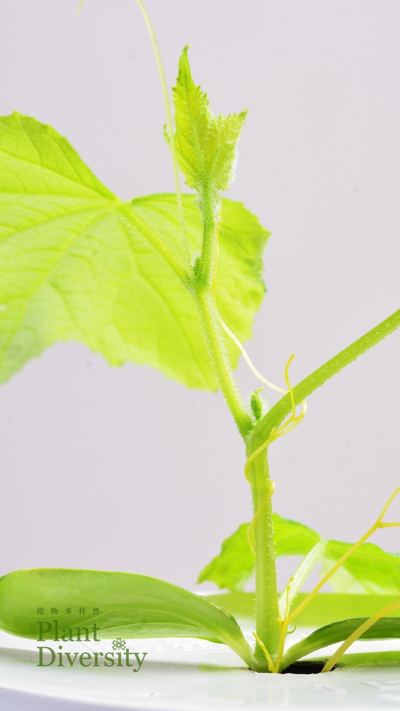 Wallpaper 1 for cell phone 2022_01_1080 X 1920