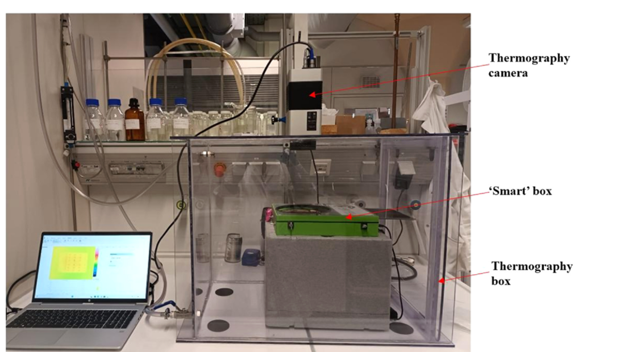 Combinatorial peptide synthesis on different solid phases and their ...