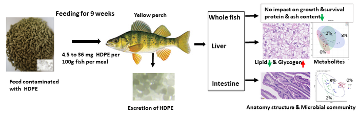 The sulfonic acid adsorbent process the researchers have developed
